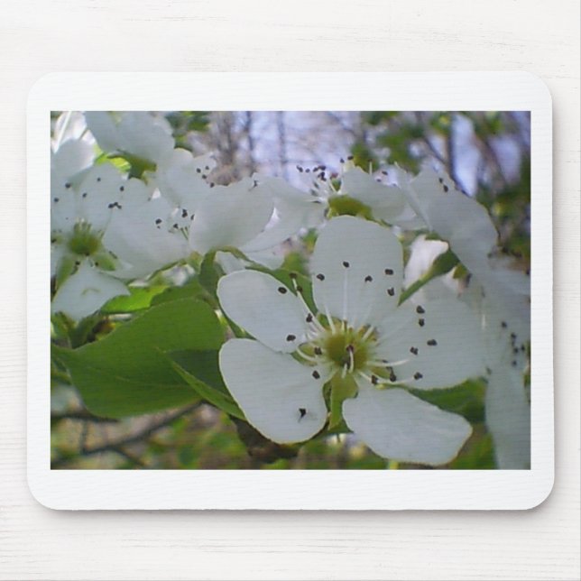Mousepad Primavera Blossom (Frente)