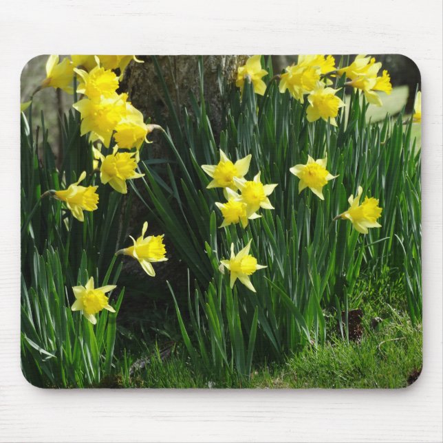 Mousepad Primavera Daffodils (Frente)
