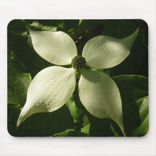 Mousepad Primavera Floral de Linguado (Frente)