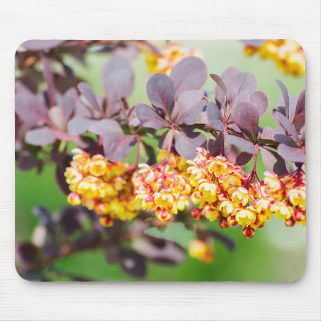 Mousepad Primavera floresce (Frente)