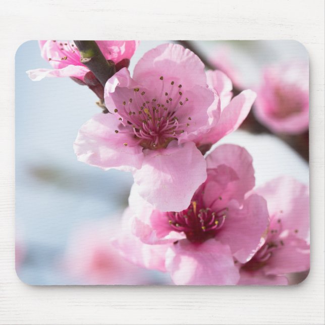 Mousepad Primavera florescendo (Frente)