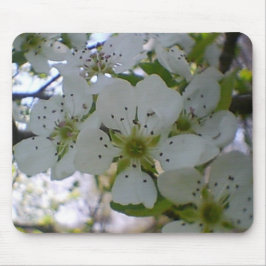 Mousepad Primavera in Bloom