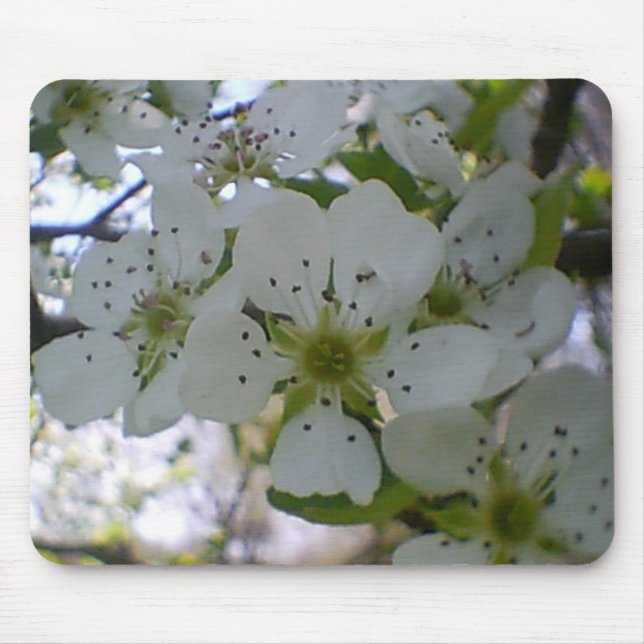 Mousepad Primavera in Bloom (Frente)