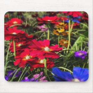 Mousepad Primavera iridescente