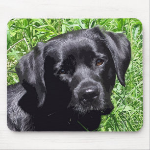 Mousepad Primavera Joy - Labrador Retriever - Laboratório
