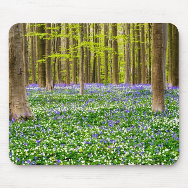 Mousepad Primavera na Floresta Azul (Frente)
