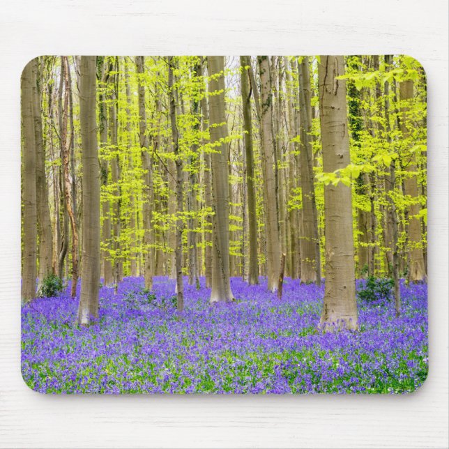 Mousepad Primavera na Floresta Azul (Frente)