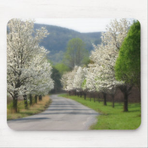 Mousepad Primavera no país