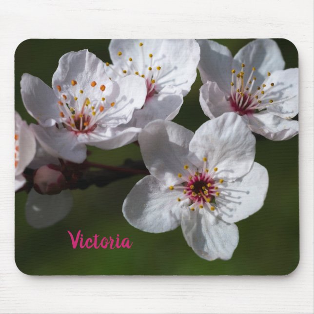 Mousepad Primavera Plum Blossoms (Frente)