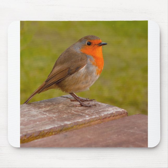Mousepad Primavera Robin (Frente)