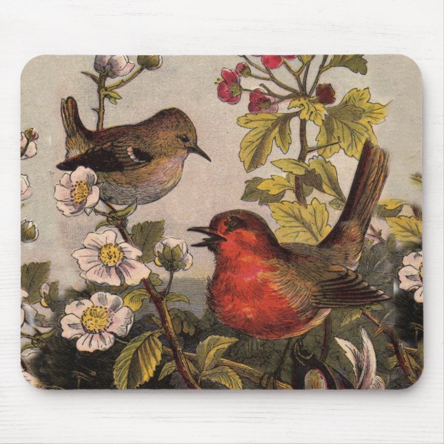 Mousepad Primavera Robin Birds Red Birds (Frente)
