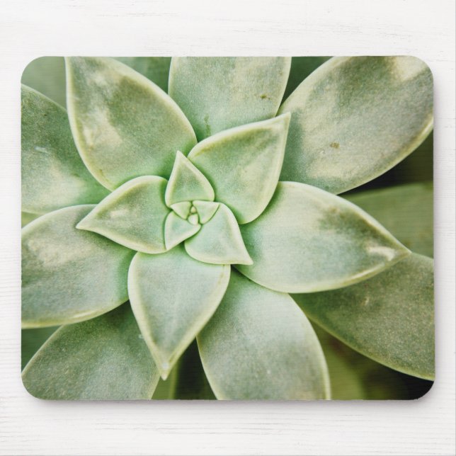 Mousepad Primavera Succulent (Frente)