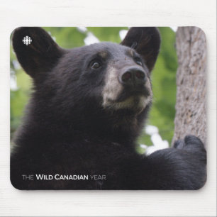 Mousepad Primavera - Urso Preto