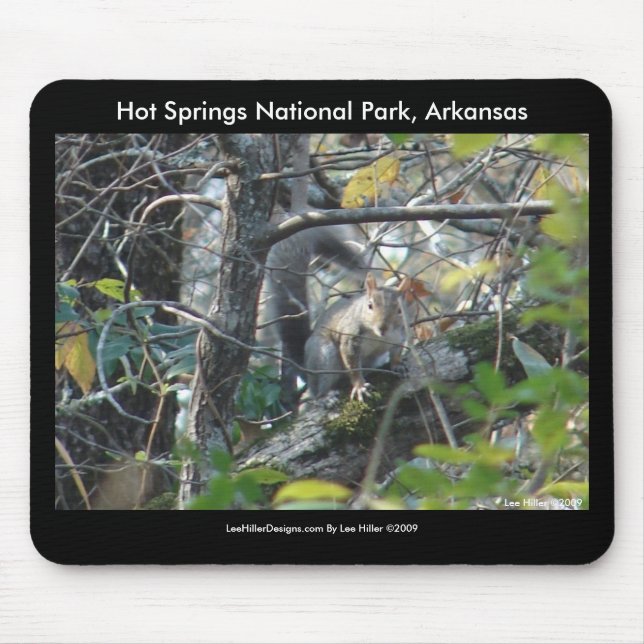 Mousepad Primaveras Quentes de Esquilo Nat'l Park Mt, AR Pe (Frente)