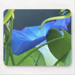 Mousepad Primeira-plano de Cálice-de-Glória-da-Manhã Azul