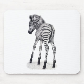 Mousepad Primeiras etapas