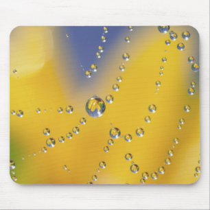 Mousepad Primeiro plano de teia de aranha com gotas de orva
