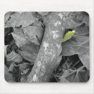Mousepad Primeiro sinal de Primavera