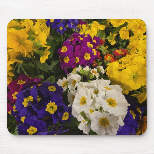 Mousepad Primrose (Frente)