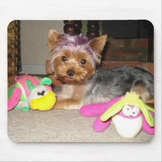 Mousepad Princesa do roxo de Yorkie do Teacup