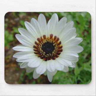 Mousepad Príncipe branco margarida do tribo Zulu