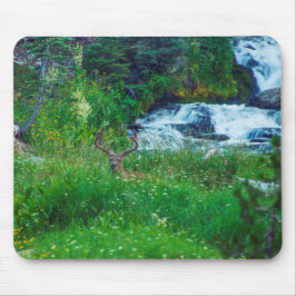 Mousepad Príncipe da Floresta