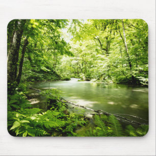 Mousepad Profundamente na floresta