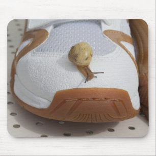 Mousepad Pronto Para Corrida De Caracol