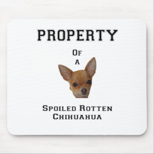 Mousepad Propriedade de uma chihuahua podre estragada