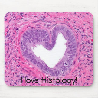 Mousepad próstata - coração, eu amo a histologia!