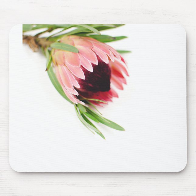 Mousepad Protea (Frente)
