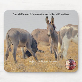 Mousepad Proteja nossos Burros Selvagens