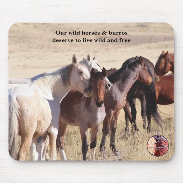 Mousepad Proteja nossos cavalos selvagens (Frente)