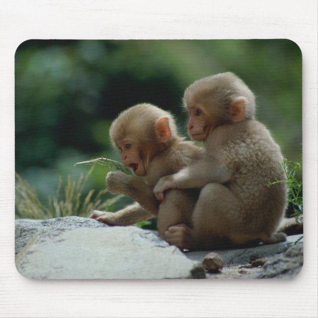 Mousepad Província de Nagano, Japão (Frente)