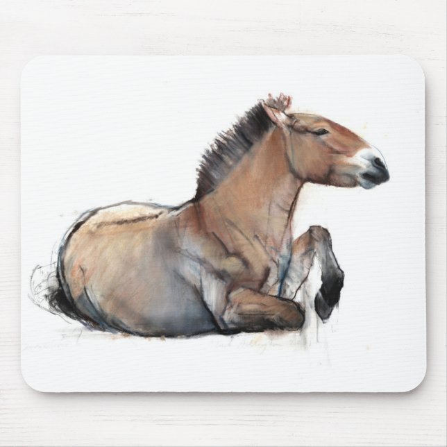 Mousepad Przewalski assentado 2011 (Frente)