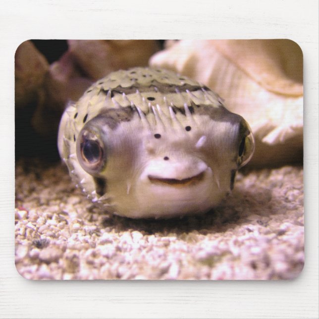 Mousepad Pufferfish do Blowfish de Helaine (Frente)