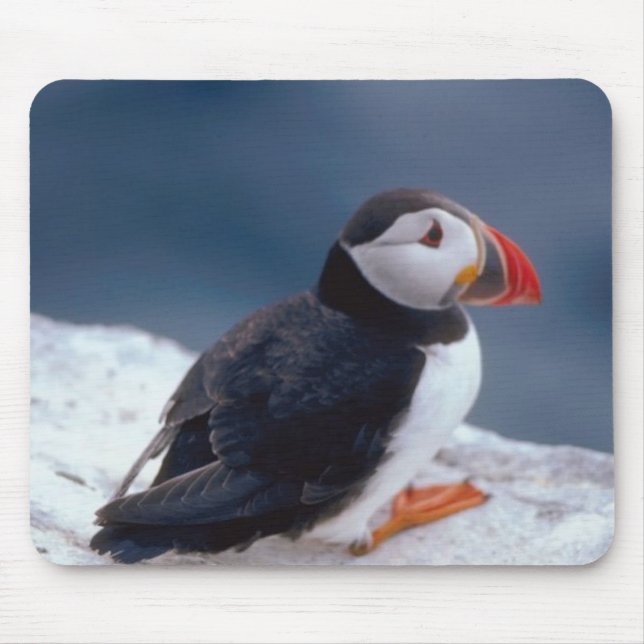 Mousepad Puffin (Frente)