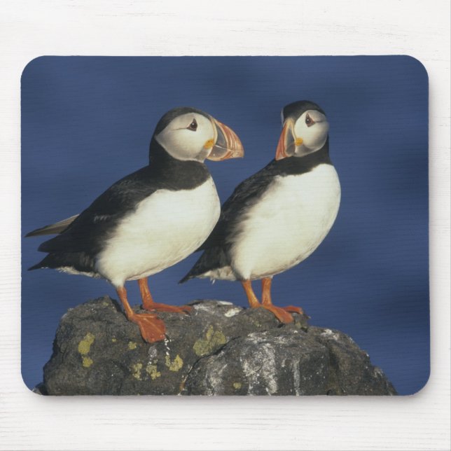 Mousepad Puffin Atlântico (Frente)