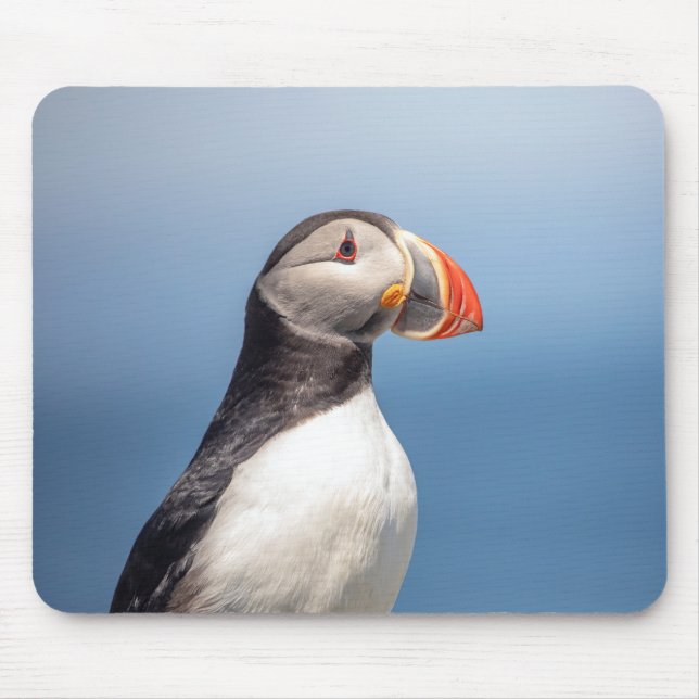 Mousepad Puffin Atlântico em Machias, Maine (Frente)