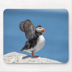 Mousepad Puffin Atlântico em Machias, ME