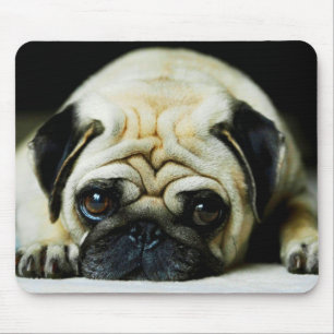Mousepad Pug