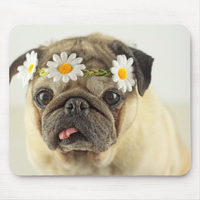 Mousepad Pug com Daisy Crown (Frente)