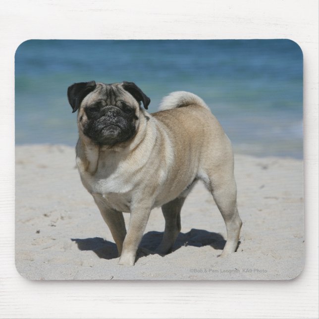 Mousepad Pug da jovem corça na praia (Frente)