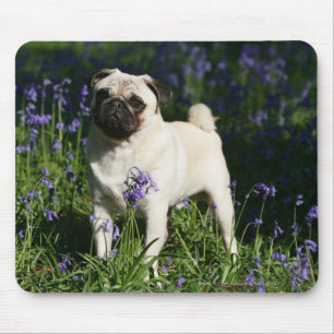 Mousepad Pug da jovem corça que está nos Bluebells