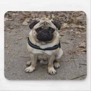 Mousepad Pug Muito Grave