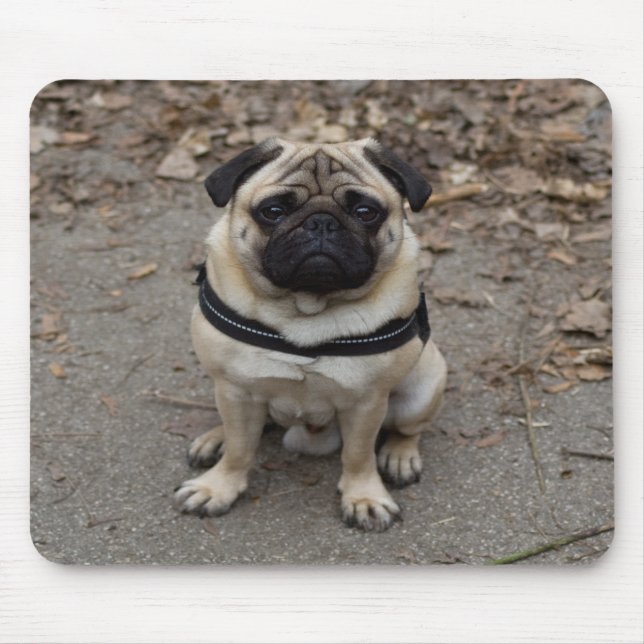 Mousepad Pug Muito Grave (Frente)