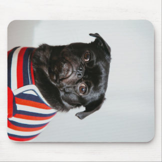 Mousepad Pug Preto Em Um Cobertor De Suor