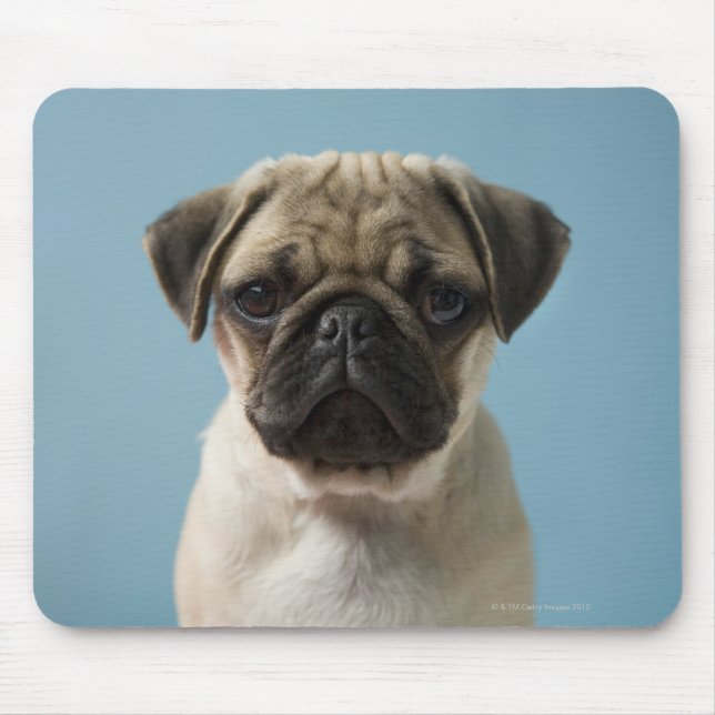 Mousepad Pug Puppy Contra Fundo Azul (Frente)