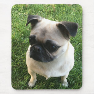 Mousepad Pug Puppy Photo