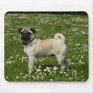 Mousepad Pug que joga nas flores